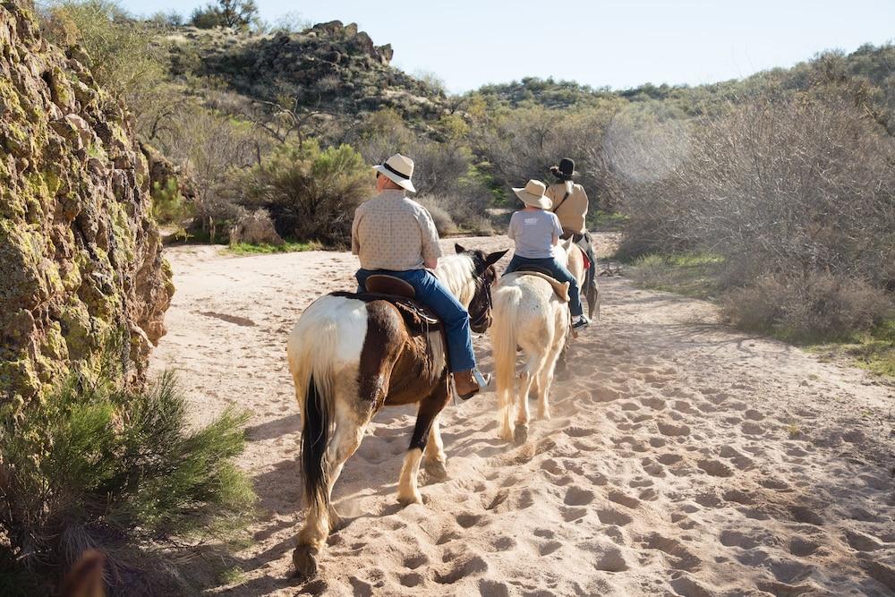 Rancho De Los Caballeros Wickenburg Zewnętrze zdjęcie