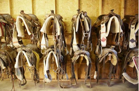 Rancho De Los Caballeros Wickenburg Zewnętrze zdjęcie