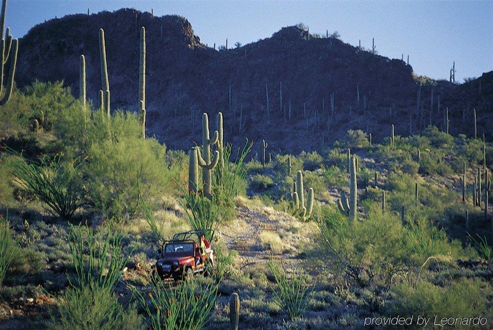 Rancho De Los Caballeros Wickenburg Zewnętrze zdjęcie