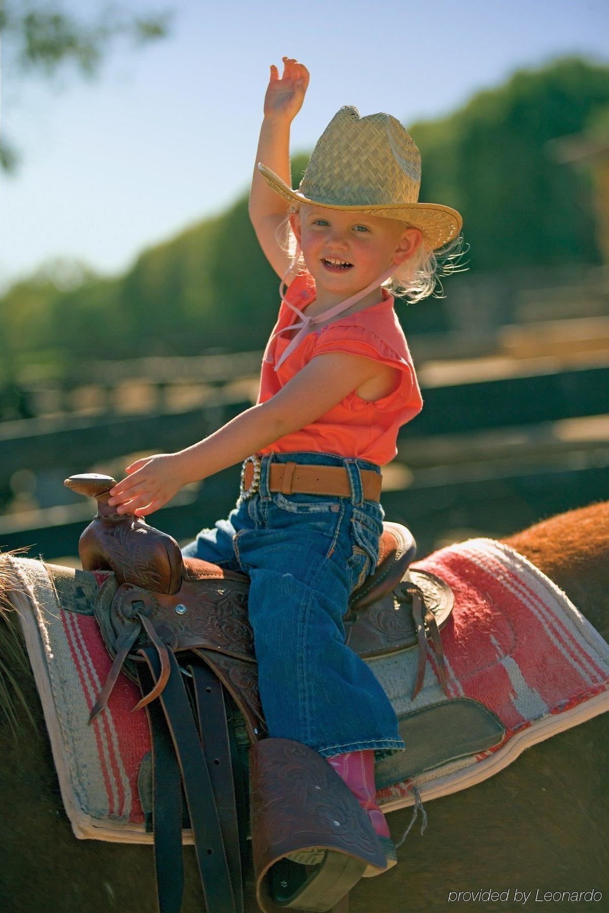 Rancho De Los Caballeros Wickenburg Zewnętrze zdjęcie