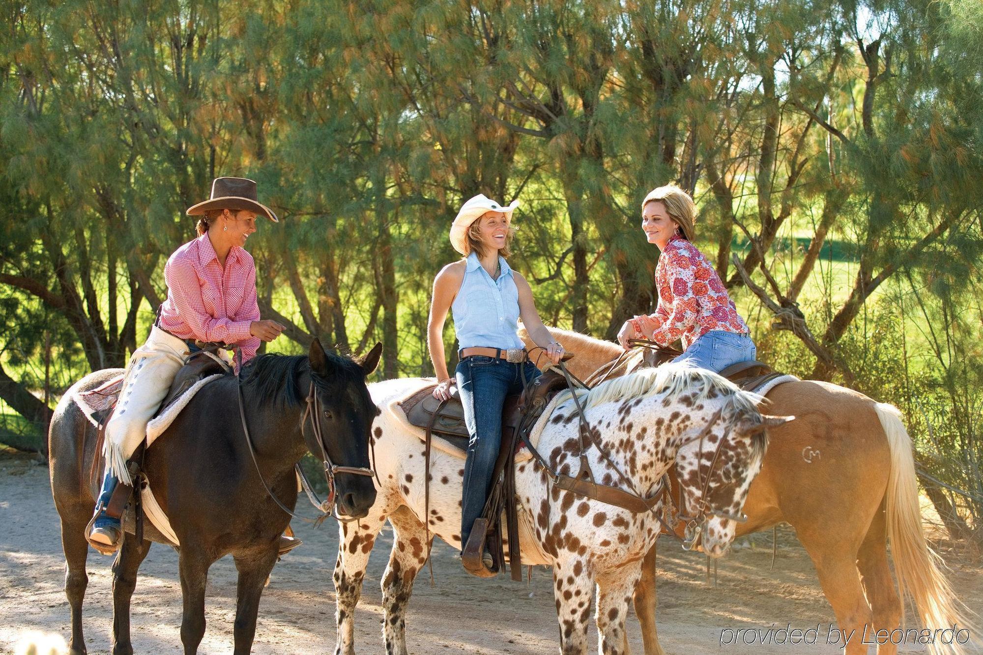 Rancho De Los Caballeros Wickenburg Zewnętrze zdjęcie