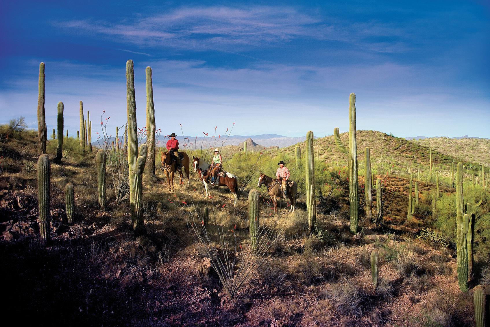 Rancho De Los Caballeros Wickenburg Zewnętrze zdjęcie